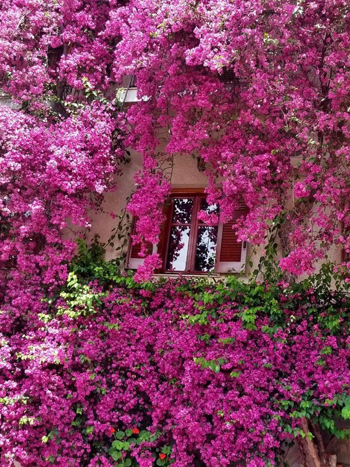 Iliolithos Rooms Kardhamili Bagian luar foto